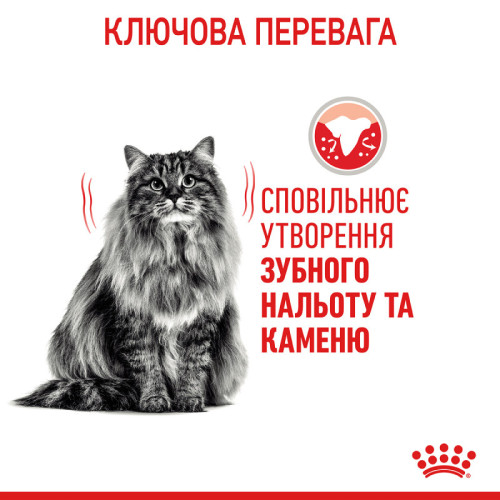 Сухий корм для котів ROYAL CANIN DENTAL CARE 1500 г